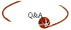 Q&A