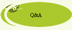 Q&A