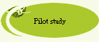 Pilot study